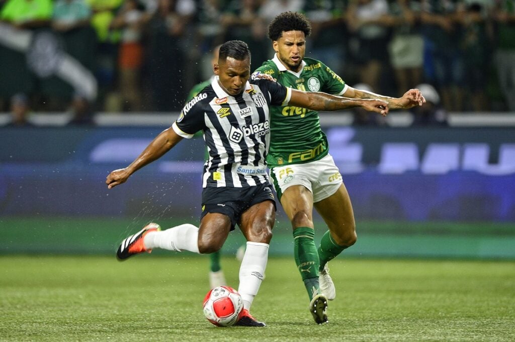 Palmeiras x Santos. Foto: Jhony Inácio, Renato Pizzutto e Rebeca Reios/Ag. Paulistão