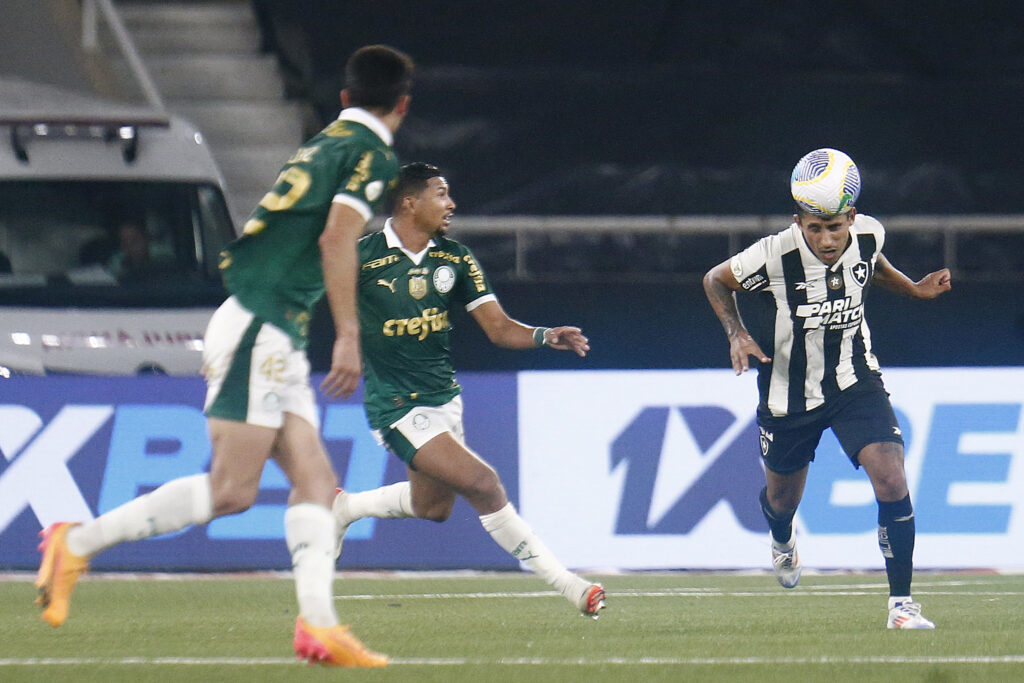 Lance de Botafogo x Palmeiras. Foto: Vitor Silva/BFR