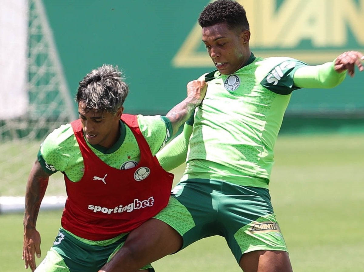 Onde assistir Santos x Palmeiras ao vivo - Paulistão nesta quarta-feira (22/01/2025). Imagem: Cesar Greco/Ag. Palmeiras