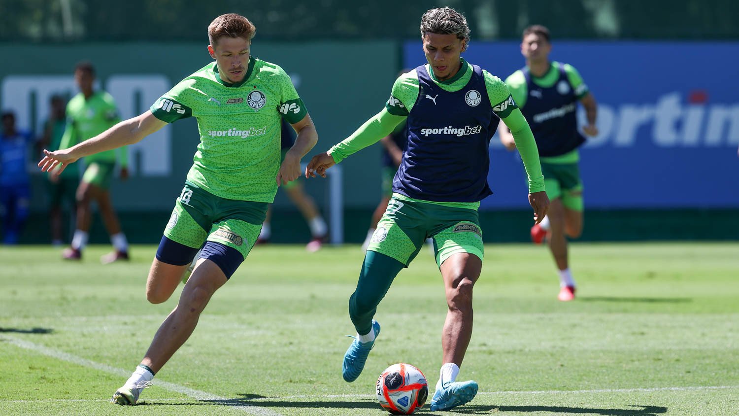 São Bernardo x Palmeiras ao vivo; onde assistir neste sábado (1) pelo Paulistão. Imagem: Cesar Greco/Ag. Palmeiras