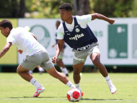 Palmeiras x Ponte Preta ao vivo; onde assistir, horário e escalações do jogo deste sábado (16) pelo Paulistão. Foto: Cesar Greco/Ag. Palmeiras