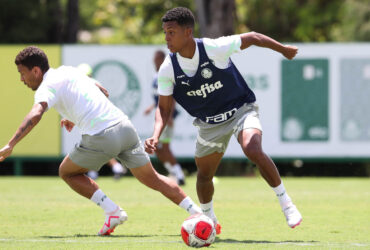 Palmeiras x Ponte Preta ao vivo; onde assistir, horário e escalações do jogo deste sábado (16) pelo Paulistão. Foto: Cesar Greco/Ag. Palmeiras