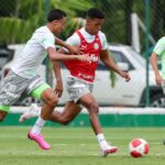 Palmeiras x Novorizontino ao vivo; onde assistir, horário e escalações do jogo desta quinta (28) pelo Campeonato Paulista. Foto: Fabio Menotti/Palmeiras