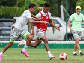 Palmeiras x Novorizontino ao vivo; onde assistir, horário e escalações do jogo desta quinta (28) pelo Campeonato Paulista. Foto: Fabio Menotti/Palmeiras