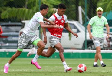 Palmeiras x Novorizontino ao vivo; onde assistir, horário e escalações do jogo desta quinta (28) pelo Campeonato Paulista. Foto: Fabio Menotti/Palmeiras