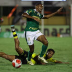 Palmeiras x Botafogo-SP ao vivo; onde assistir, horário e escalações do jogo deste sábado (9) pelo Paulistão. Foto: Cesar Greco/Ag. Palmeiras