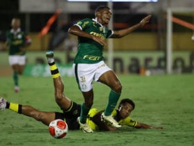 Palmeiras x Botafogo-SP ao vivo; onde assistir, horário e escalações do jogo deste sábado (9) pelo Paulistão. Foto: Cesar Greco/Ag. Palmeiras