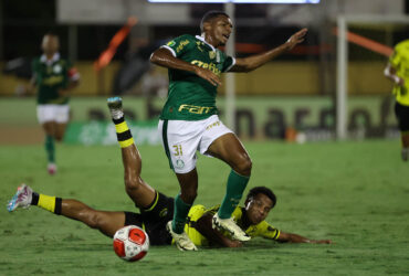 Palmeiras x Botafogo-SP ao vivo; onde assistir, horário e escalações do jogo deste sábado (9) pelo Paulistão. Foto: Cesar Greco/Ag. Palmeiras