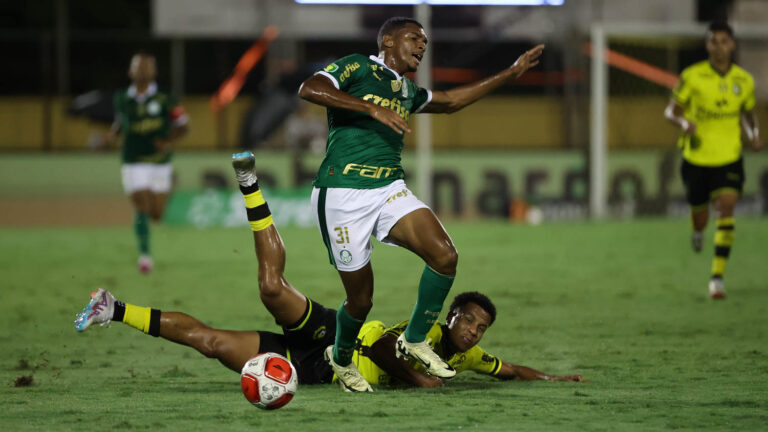 Palmeiras x Botafogo-SP ao vivo; onde assistir, horário e escalações do jogo deste sábado (9) pelo Paulistão. Foto: Cesar Greco/Ag. Palmeiras