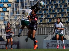 Bragantino x Atlético-MG ao vivo; onde assistir, horário e escalações do jogo desta segunda (25) pelo Brasileiro Feminino. Foto: Luiz Guilherme Martins/Palmeiras