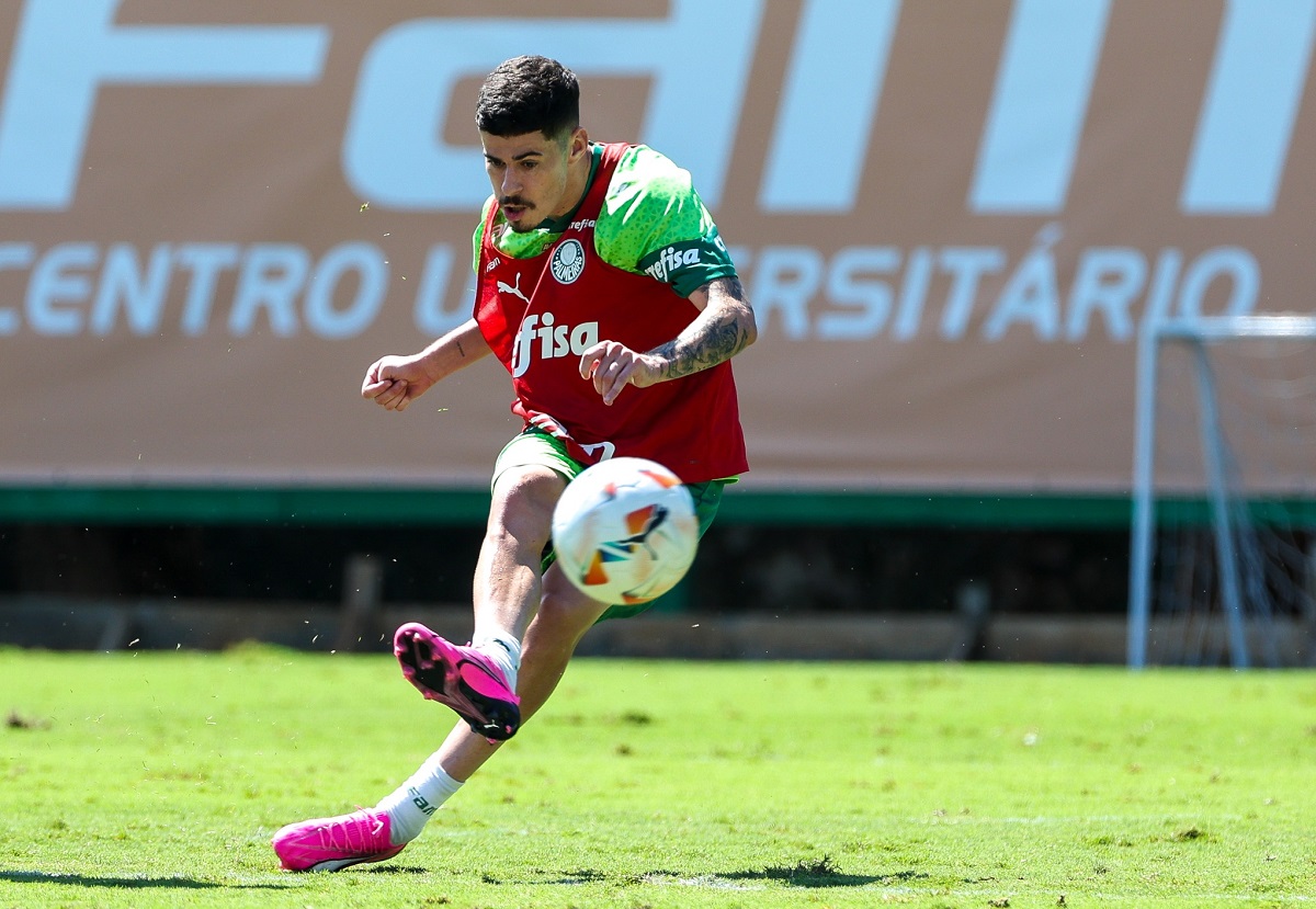 San Lorenzo x Palmeiras; onde assistir, horário e escalações do jogo desta quarta (3) pela Libertadores. Foto: Cesar Greco/Ag. Palmeiras