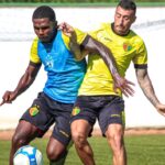 Onde assistir Brusque x Mirassol ao vivo - Campeonato Brasileiro Série B nesta terça-feira (23/04/2024). Foto: Lara Vantzen/Brusque