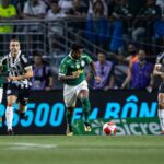 Palmeiras x Santos. Foto: Jhony Inácio, Renato Pizzutto e Rebeca Reios/Ag. Paulistão