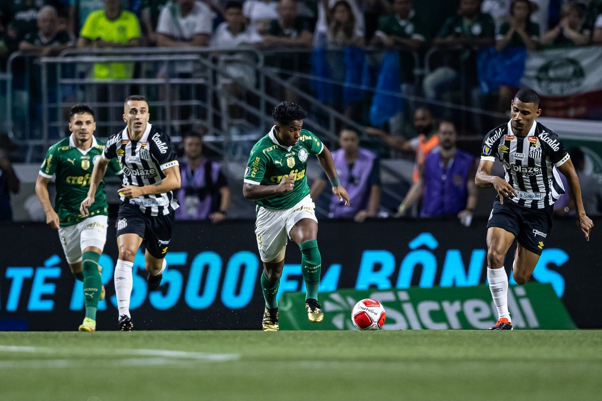 Palmeiras x Santos. Foto: Jhony Inácio, Renato Pizzutto e Rebeca Reios/Ag. Paulistão