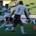 Onde assistir Botafogo-SP x Chapecoense ao vivo - Campeonato Brasileiro Série B nesta terça-feira (14/05/2024). Foto: Divulgação Botafogo-SP