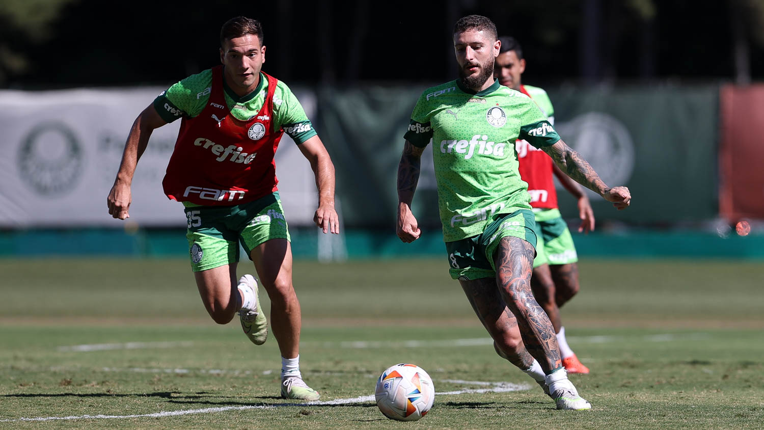 Onde assistir Palmeiras x Vasco ao vivo - Campeonato Brasileiro nesta quinta-feira (13/06/2024). Foto: Cesar Greco/Ag. Palmeiras