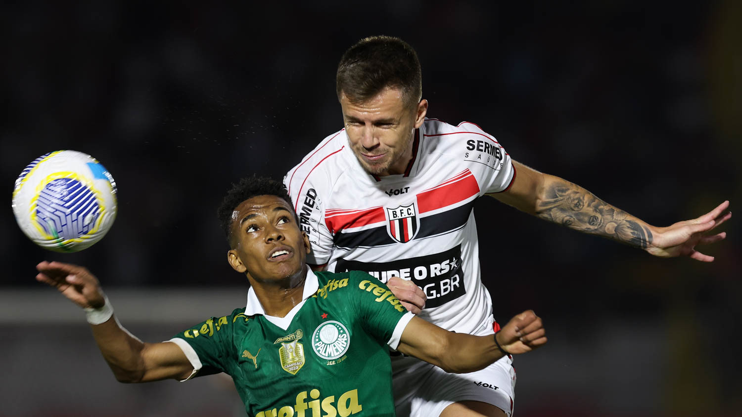 Onde assistir Botafogo-SP x Vila Nova ao vivo - Campeonato Brasileiro Série B neste domingo (16/06/2024). Foto: Cesar Greco/Ag. Palmeiras