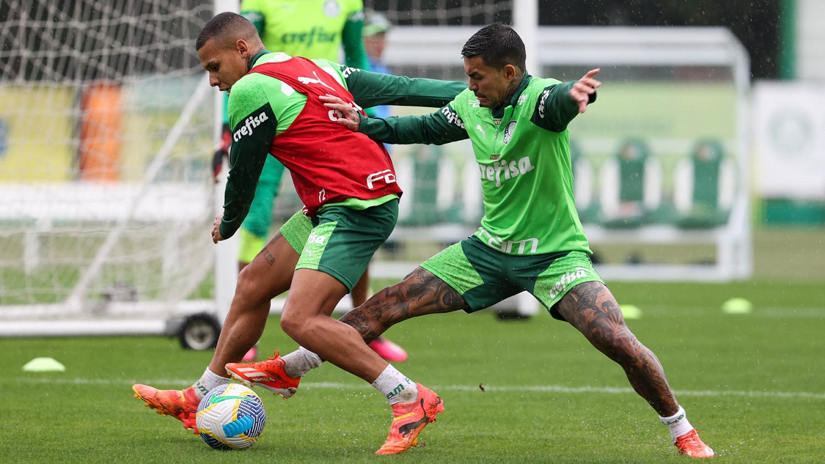 Onde assistir Palmeiras x Atlético-GO ao vivo - Brasileirão nesta quinta-feira (11/07/2024). Foto: César Greco/Ag. Palmeiras