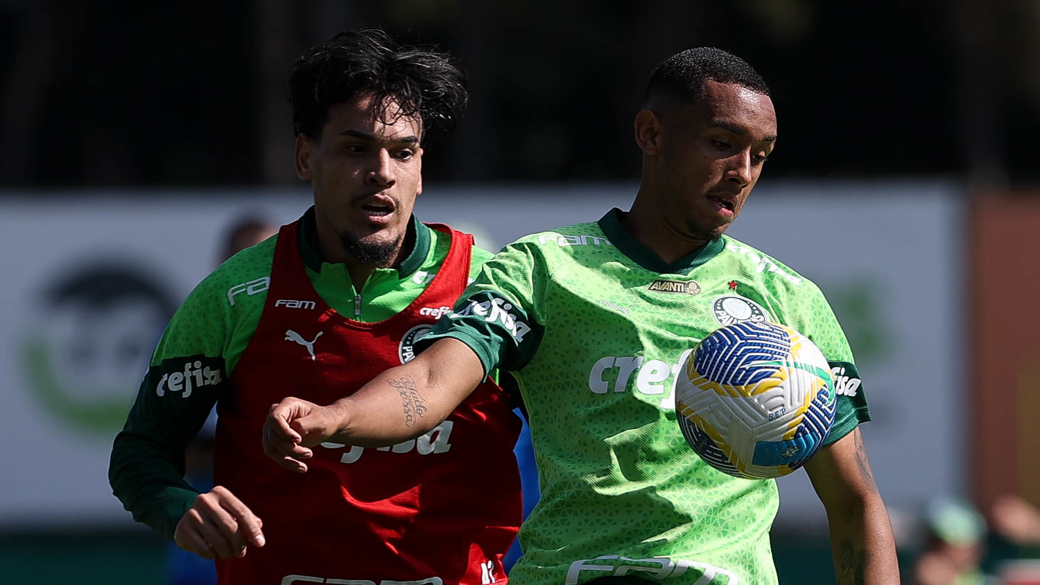 Onde assistir Palmeiras x Bahia ao vivo - Brasileirão neste domingo (07/07/2024). Foto: Cesar Greco/Ag. Palmeiras