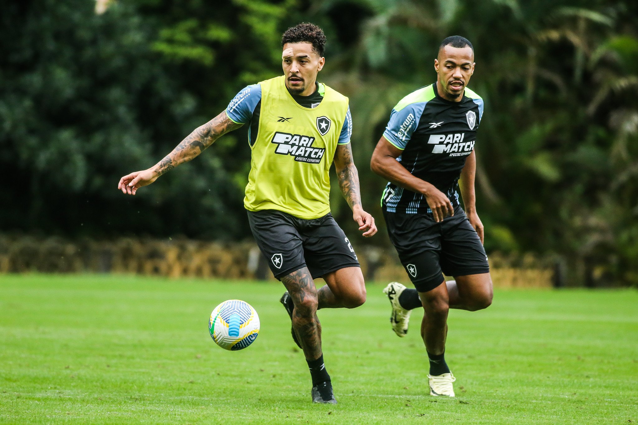 Onde assistir Botafogo x Palmeiras ao vivo - Brasileirão nesta quarta-feira (17/07/2024). Foto: Arthur Barreto/Botafogo FR