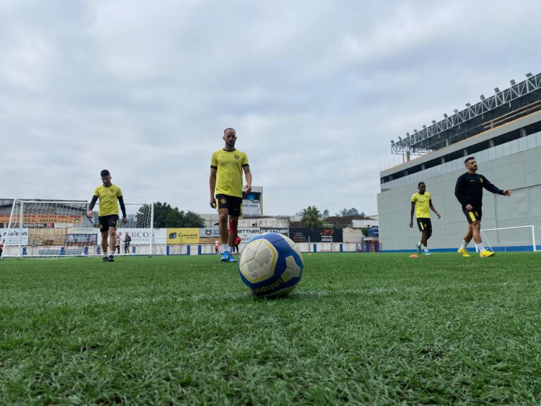 Catarinenses em xeque na Série B: veja os riscos de rebaixamento. Douglas Atkienson/BFC