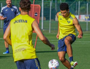 Onde assistir Hellas Verona x Napoli ao vivo - Campeonato Italiano neste domingo (18/08/2024). Foto: Divulgação Hellas Verona