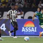 Onde assistir Bahia x Botafogo ao vivo - Brasileirão neste domingo (25/08/2024). Foto: Cesar Greco/Ag. Palmeiras