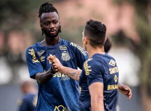 Onde assistir Santos x América-MG ao vivo - Série B neste domingo (15/09/2024). Imagem: Raul Baretta/Santos FC