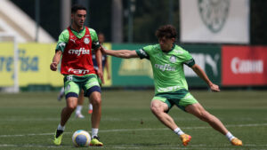 Onde assistir Palmeiras x Criciúma ao vivo - Brasileirão neste domingo (15/09/2024). Imagem: Cesar Grecco/Ag. Palmeiras