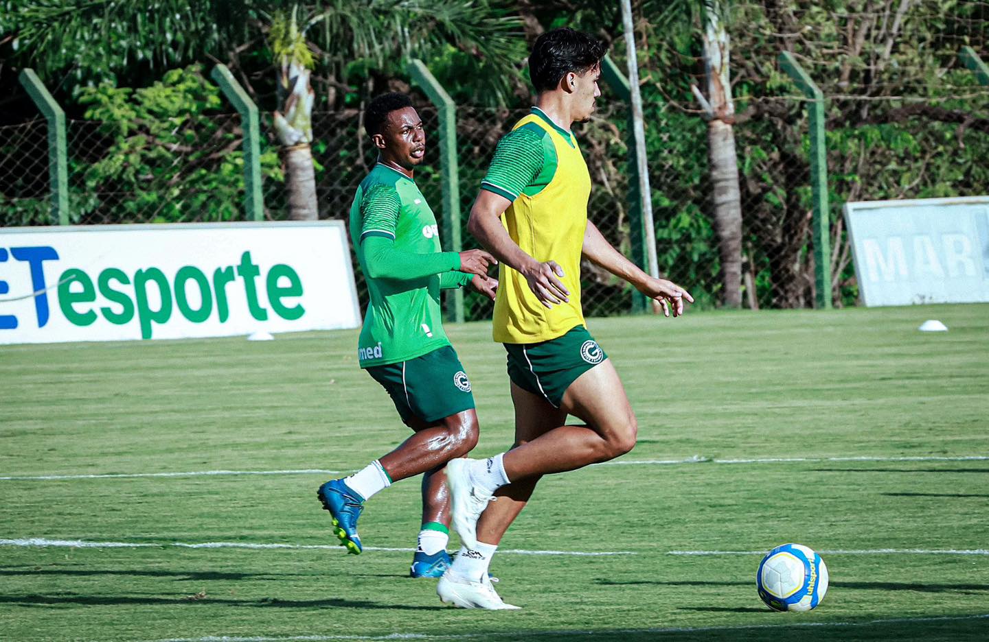 Onde assistir Goiás x Amazonas ao vivo - Série B nesta sexta-feira (25/10/2024). Imagem: Rodrigues Rosiron/Goiás EC