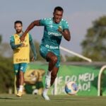 Onde assistir Bragantino x Cuiabá ao vivo - Brasileirão neste sábado (02/11/2024). Imagem: AssCom Dourado