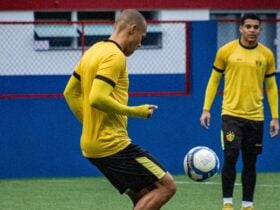 Onde assistir Brusque x Botafogo-SP ao vivo - Série B nesta terça-feira (05/11/2024). Imagem: Lara Vantzen/BFC