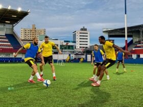 Onde assistir Brusque x Guarani ao vivo - Série B neste domingo (17/11/2024). Imagem: Douglas Atkienson/BFC