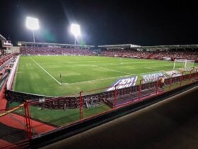 Onde assistir Atlético-GO x Palmeiras ao vivo - Brasileirão neste sábado (23/11/2024). Imagem: Divulgação Atlético-GO