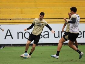 Onde assistir Criciúma x Vitória ao vivo - Brasileirão nesta quarta-feira (20/11/2024). Imagem: Celso da Luz/Criciúma