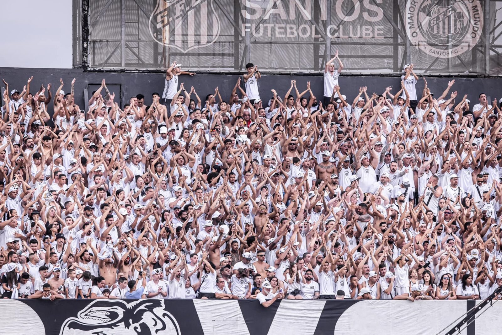 Onde assistir Santos x CRB ao vivo - Série B neste domingo (17/11/2024). Imagem: Raul Baretta/Santos FC