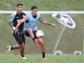 Onde assistir Botafogo x Vitória ao vivo - Brasileirão neste sábado (23/11/2024). Imagem: Vitor Silva/BFR