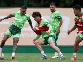 Onde assistir Palmeiras x Botafogo ao vivo - Brasileirão nesta terça-feira (26/11/2024). Imagem: Cesar Greco/Ag. Palmeiras