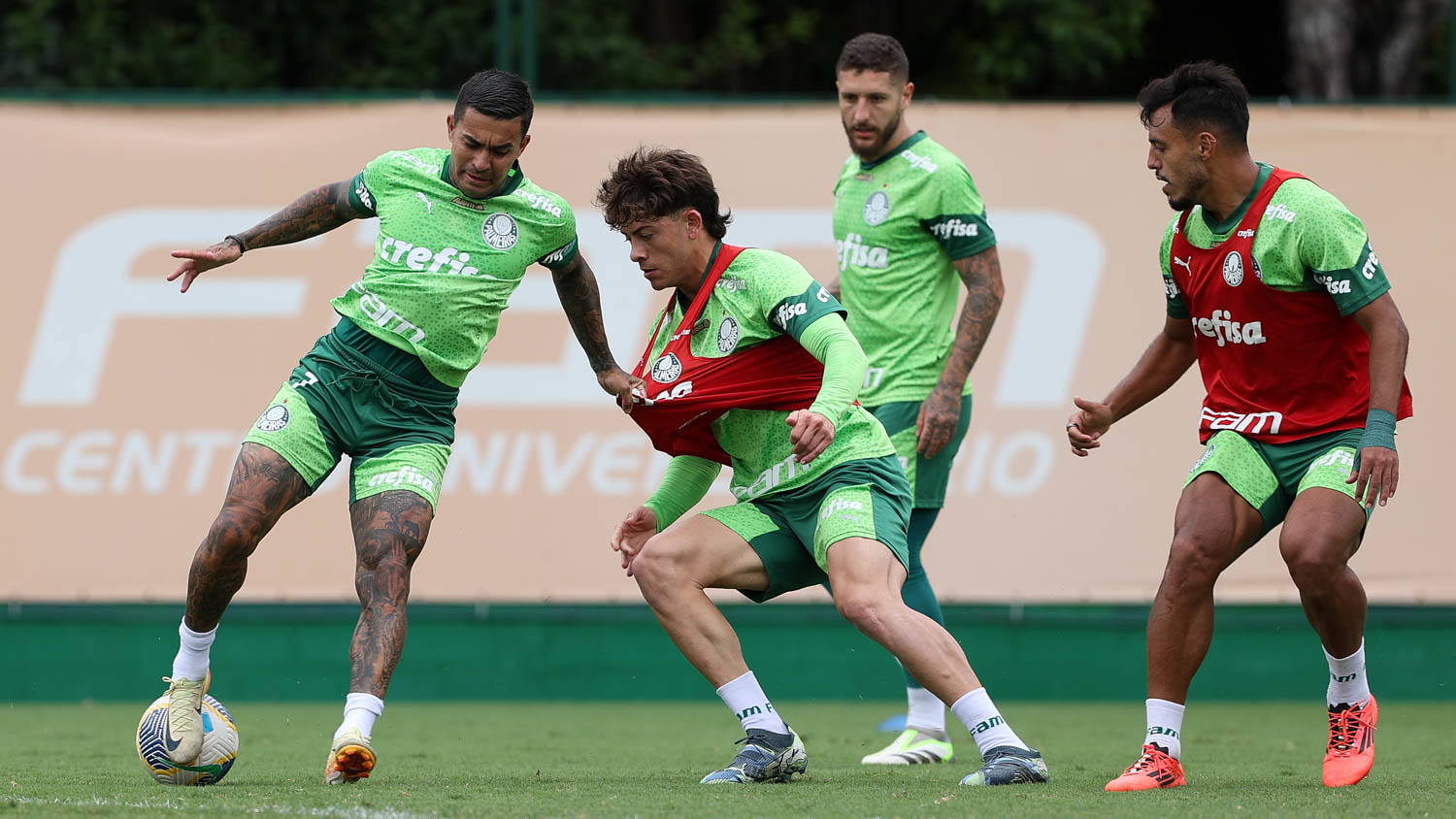 Onde assistir Palmeiras x Botafogo ao vivo - Brasileirão nesta terça-feira (26/11/2024). Imagem: Cesar Greco/Ag. Palmeiras