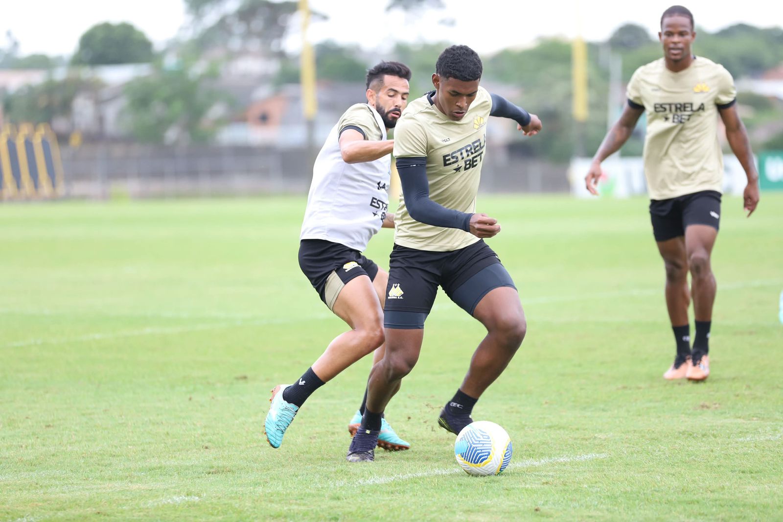 Onde assistir Criciúma x Corinthians ao vivo - Brasileirão neste sábado (30/11/2024). Imagem: Celso da Luz/CEC