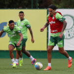 Onde assistir Palmeiras x Fluminense ao vivo - Brasileirão neste domingo (08/12/2024). Imagem: Cesar Grecco/Ag. Palmeiras