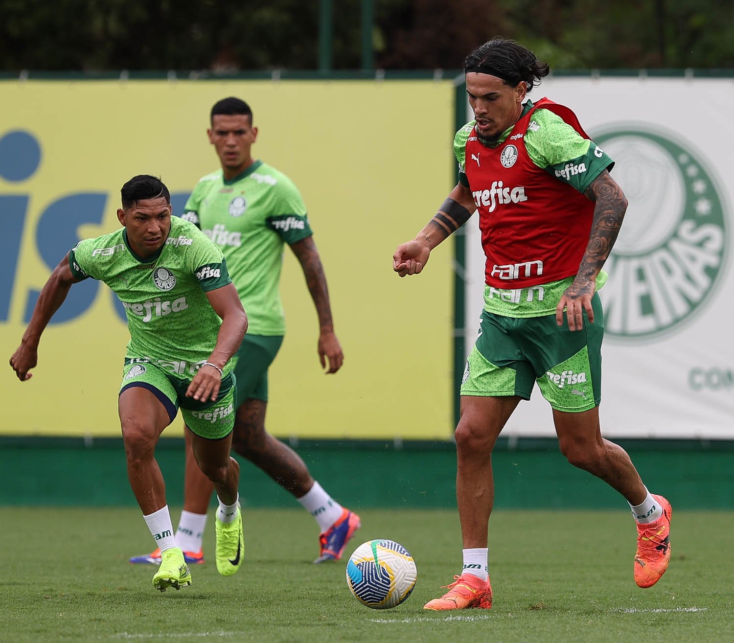 Onde assistir Palmeiras x Fluminense ao vivo - Brasileirão neste domingo (08/12/2024). Imagem: Cesar Grecco/Ag. Palmeiras