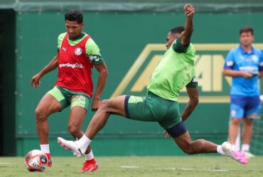 Onde assistir Palmeiras x Portuguesa ao vivo - Paulistão nesta quarta-feira (15/01/2025). Imagem: Cesar Greco/Ag. Palmeiras