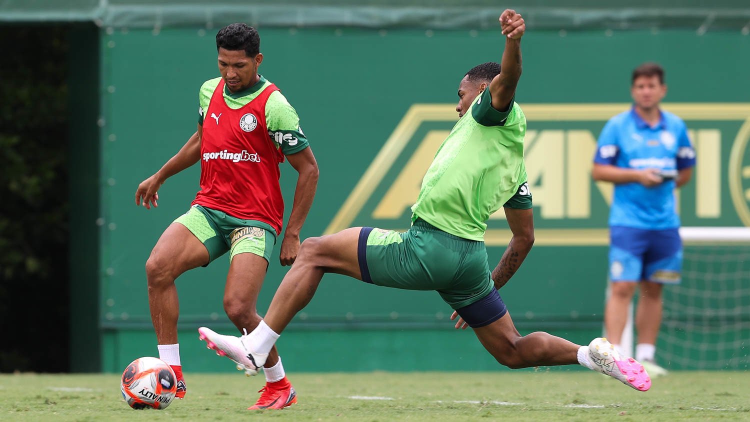 Onde assistir Palmeiras x Portuguesa ao vivo - Paulistão nesta quarta-feira (15/01/2025). Imagem: Cesar Greco/Ag. Palmeiras