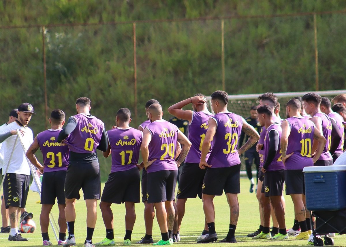 São Bernardo x Palmeiras ao vivo; onde assistir neste sábado (1) pelo Paulistão. Imagem: Divulgação São Bernardo