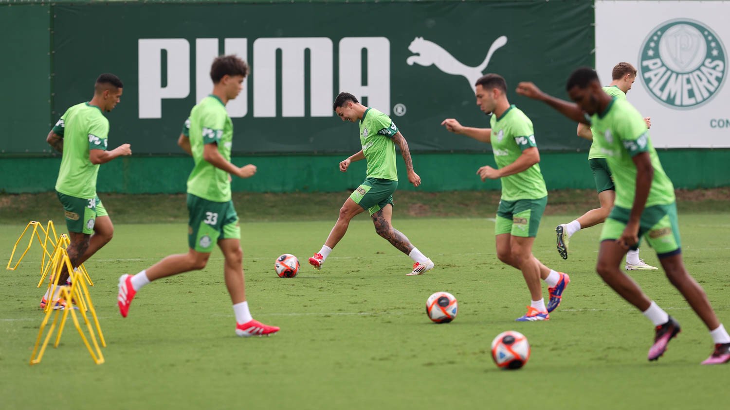 Mirassol x Palmeiras ao vivo; onde assistir neste domingo (23) pelo Paulistão. Imagem: Cesar Grecco/Ag. Palmeiras