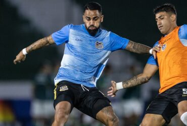 Onde assistir Água Santa x Palmeiras ao vivo - Paulistão neste domingo (09/02/2025). Imagem: Alan Araújo @a5_fotografia