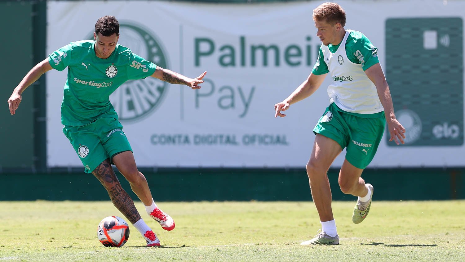 Palmeiras x São Paulo ao vivo; onde assistir nesta segunda-feira (10) pelo Paulistão. Imagem: Cesar Grecco/Ag. Palmeiras